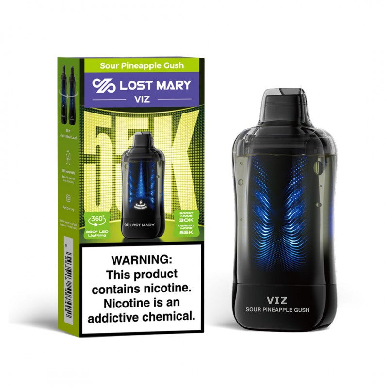 Lost Mary VIZ 55K Disposable Vape | Big D Vapor